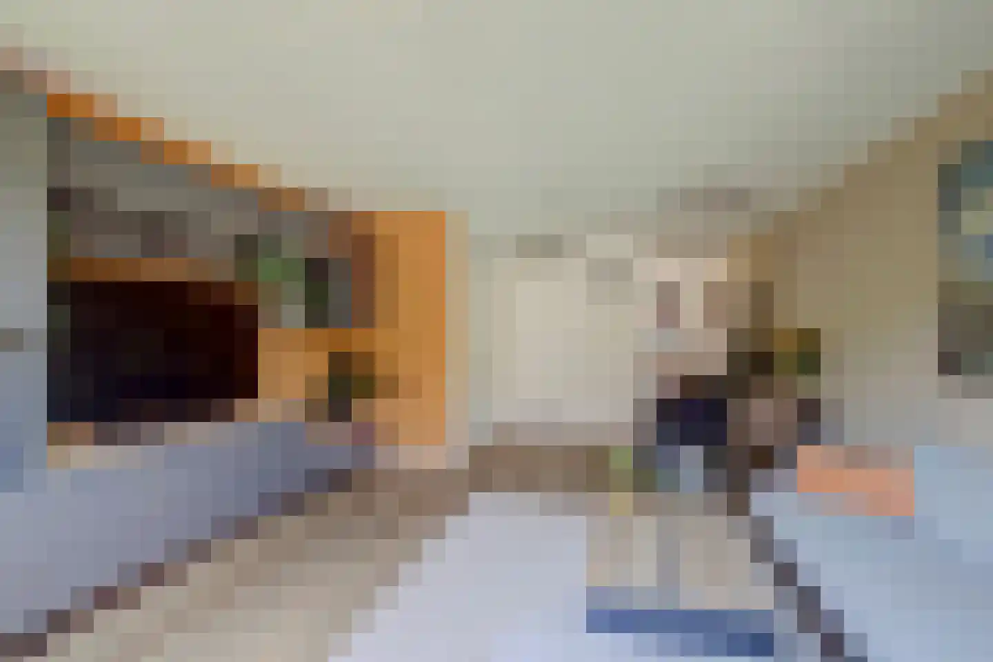 Touwslagerijbaan 11 Nieuwegein thumbnail 6