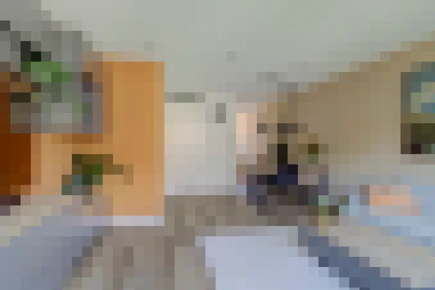 Touwslagerijbaan 11 Nieuwegein thumbnail 7