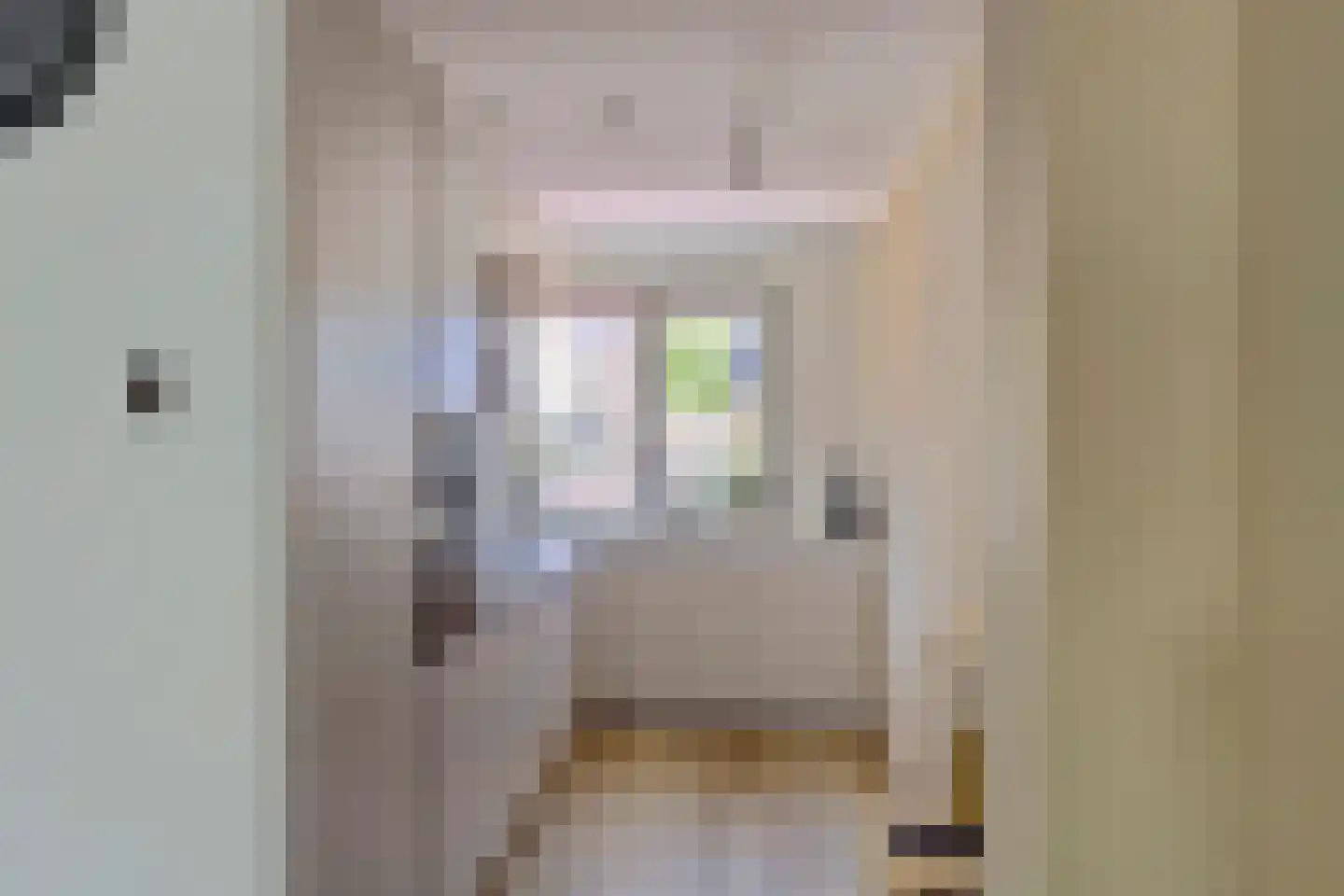 Touwslagerijbaan 11 Nieuwegein thumbnail 9