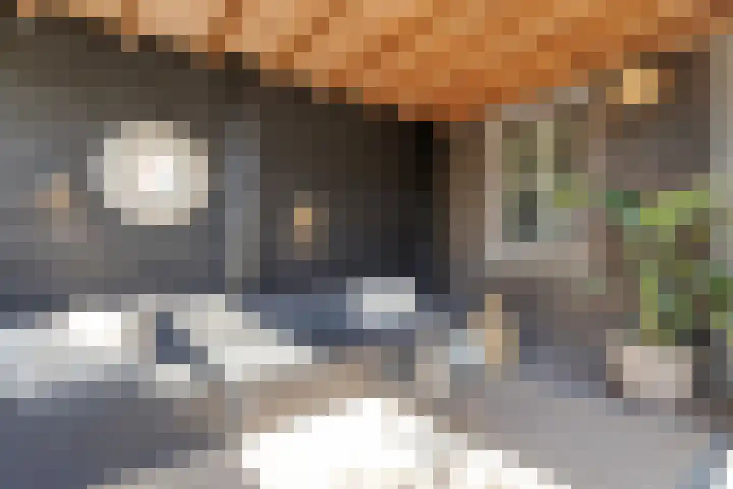 Touwslagerlaan 40 Aalsmeer thumbnail 40