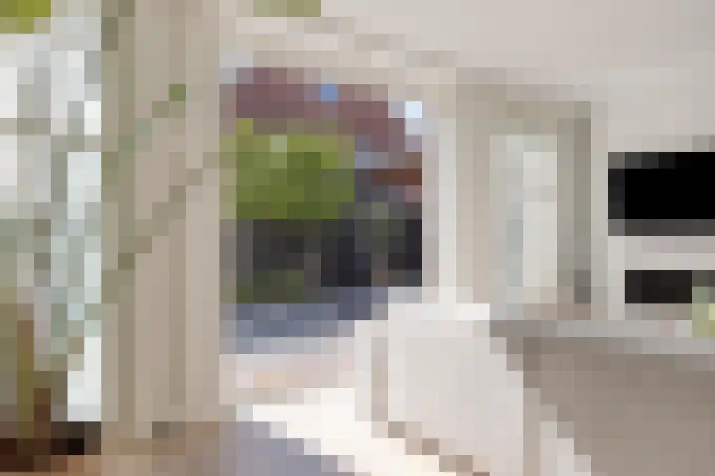 Touwslagerlaan 40 Aalsmeer thumbnail 9