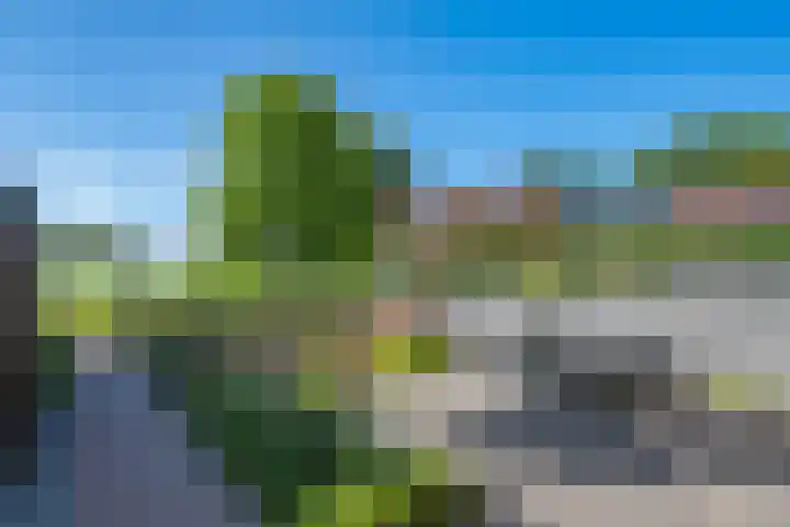 Touwslagersbaan 102 Gendringen thumbnail 52