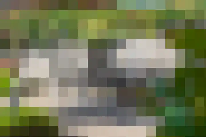 Touwslagersbaan 102 Gendringen thumbnail 54