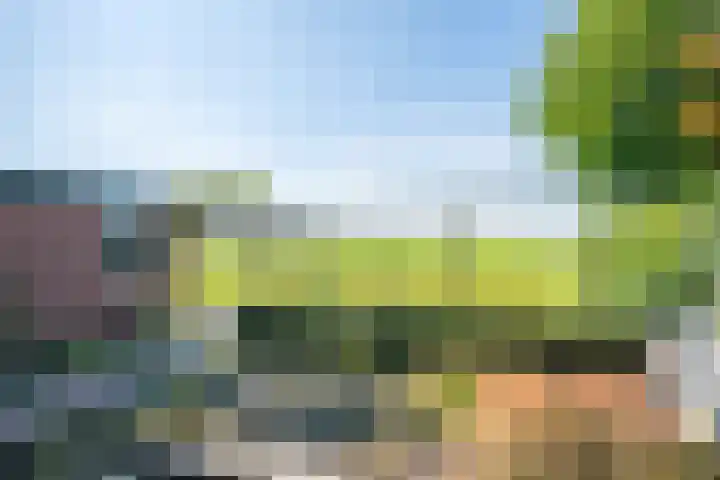 Touwslagersbaan 102 Gendringen thumbnail 59
