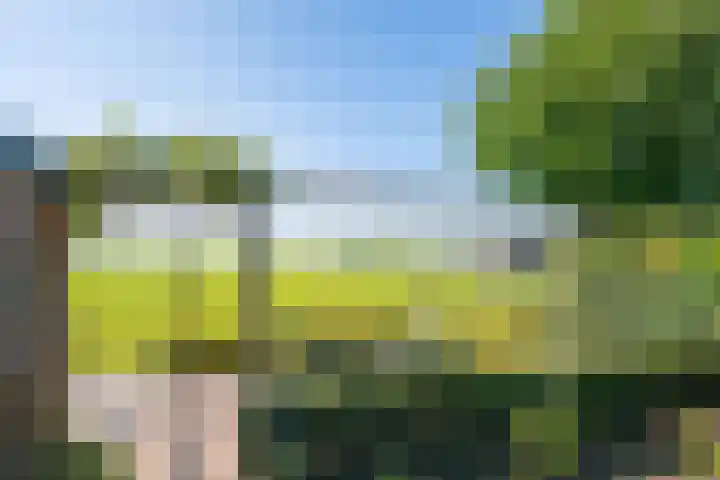 Touwslagersbaan 102 Gendringen thumbnail 60