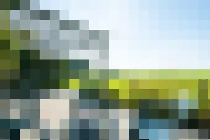 Touwslagersbaan 102 Gendringen thumbnail 62
