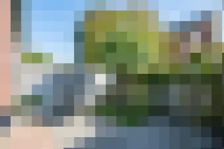 Touwslagersbaan 102 Gendringen thumbnail 66