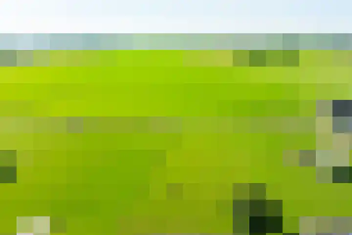 Touwslagersbaan 102 Gendringen thumbnail 68