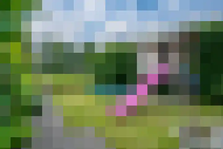 Touwslagersbaan 114 Gendringen thumbnail 46