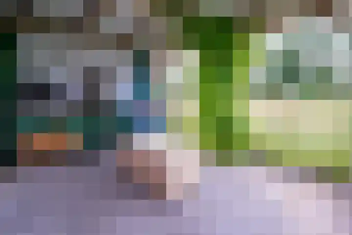Touwslagersbaan 114 Gendringen thumbnail 48