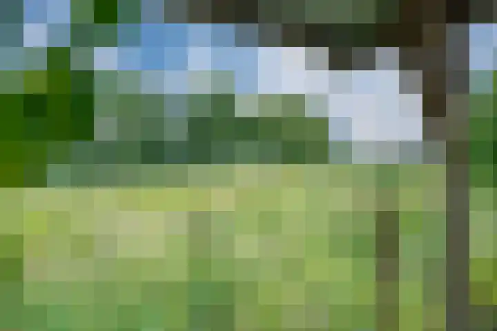 Touwslagersbaan 114 Gendringen thumbnail 50