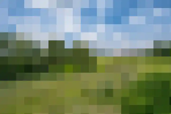 Touwslagersbaan 114 Gendringen thumbnail 51