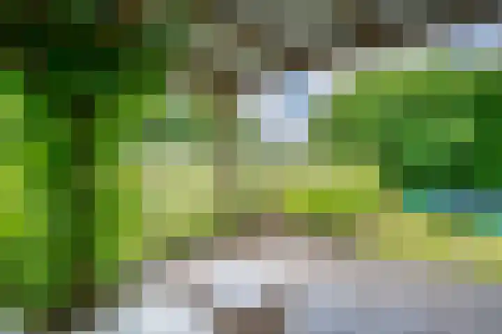 Touwslagersbaan 114 Gendringen thumbnail 52