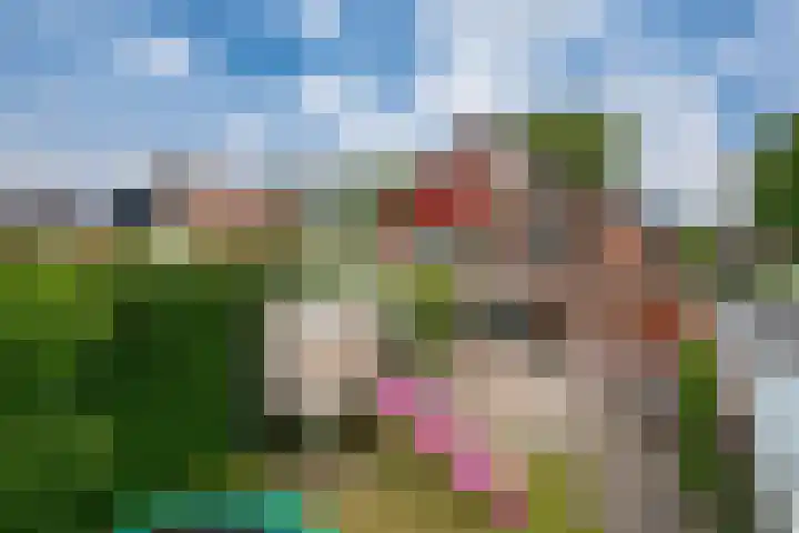 Touwslagersbaan 114 Gendringen thumbnail 53