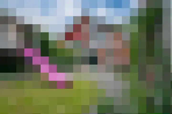 Touwslagersbaan 114 Gendringen thumbnail 54