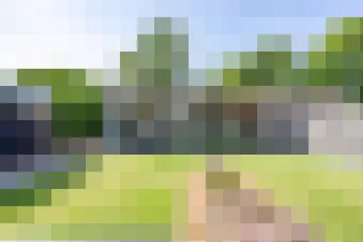 Touwslagersbaan 13 Noordhorn thumbnail 31