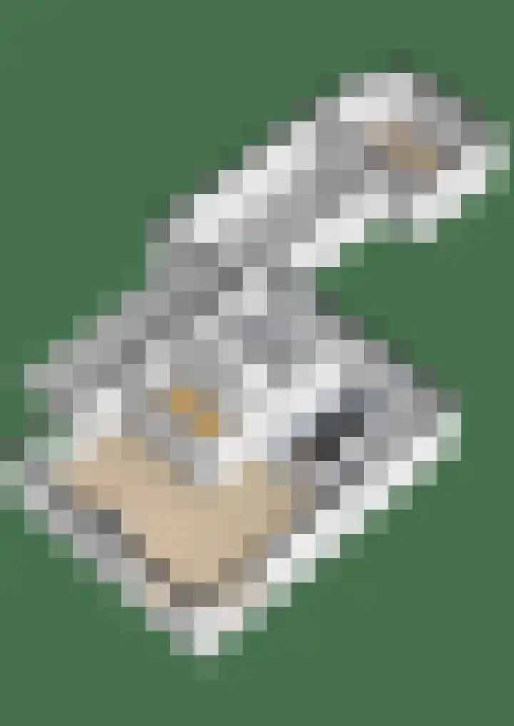 Touwslagersbaan 13 Noordhorn thumbnail 38