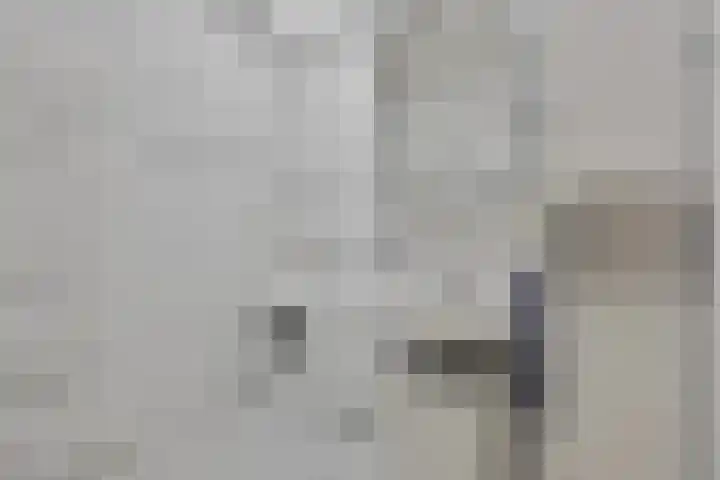 Touwslagersbaan 24 B Wijchen thumbnail 20