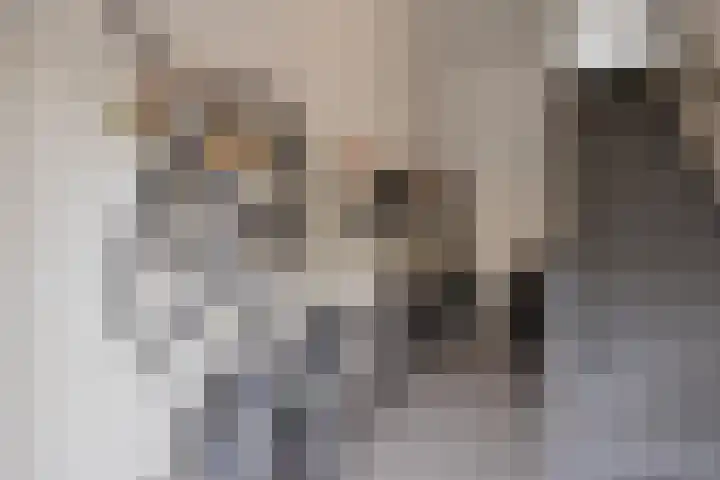 Touwslagersbaan 24 B Wijchen thumbnail 23