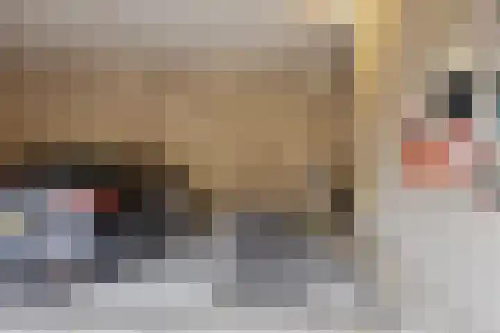 Touwslagersbaan 24 B Wijchen thumbnail 26