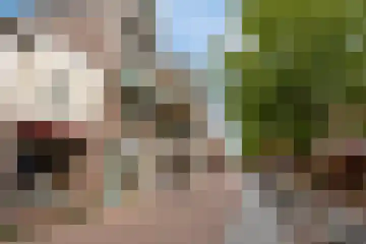 Touwslagersbaan 24 B Wijchen thumbnail 27