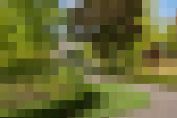 Touwslagersbaan 24 B Wijchen thumbnail 28