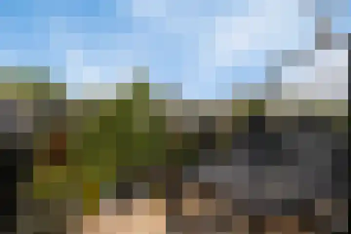 Touwslagersbaan 24 B Wijchen thumbnail 6