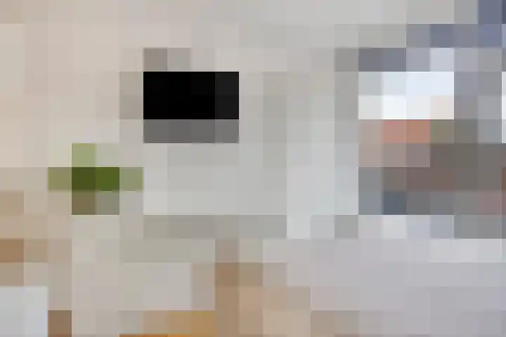 Touwslagersbaan 6 A Wijchen thumbnail 19