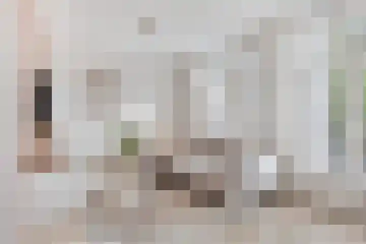 Touwslagersbaan 6 A Wijchen thumbnail 5
