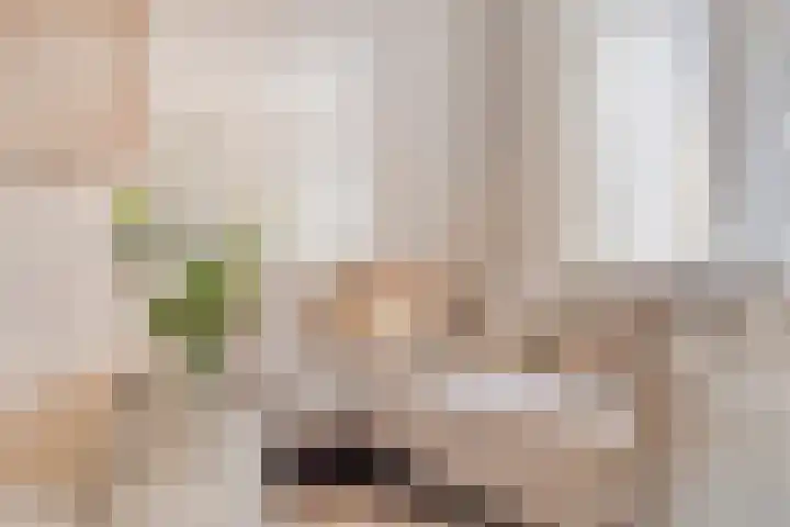 Touwslagersbaan 6 A Wijchen thumbnail 6