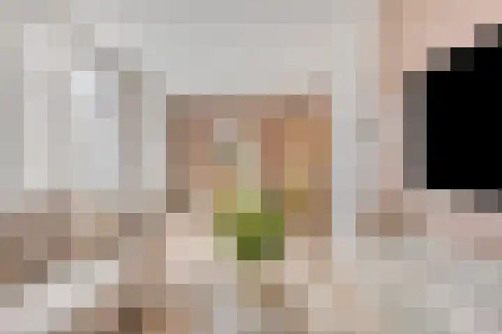 Touwslagersbaan 6 A Wijchen thumbnail 7
