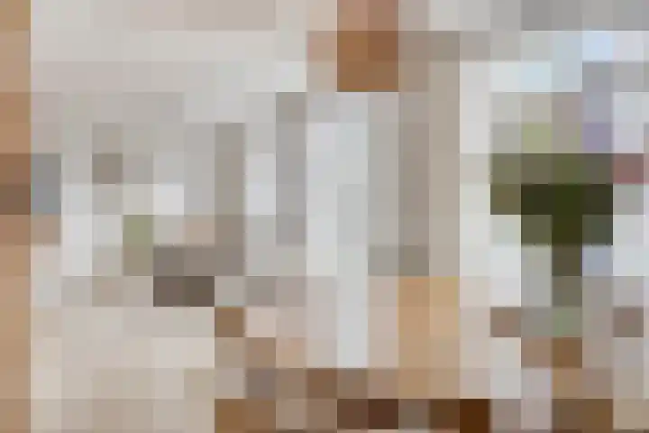 Touwslagersbaan 6 A Wijchen thumbnail 8