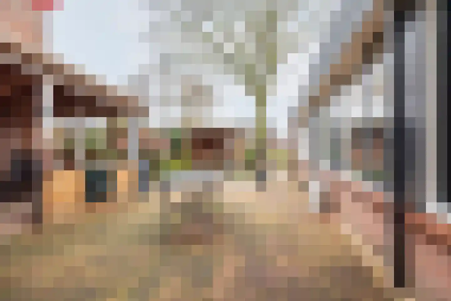 Touwslagersbaan 68 Gendringen thumbnail 4