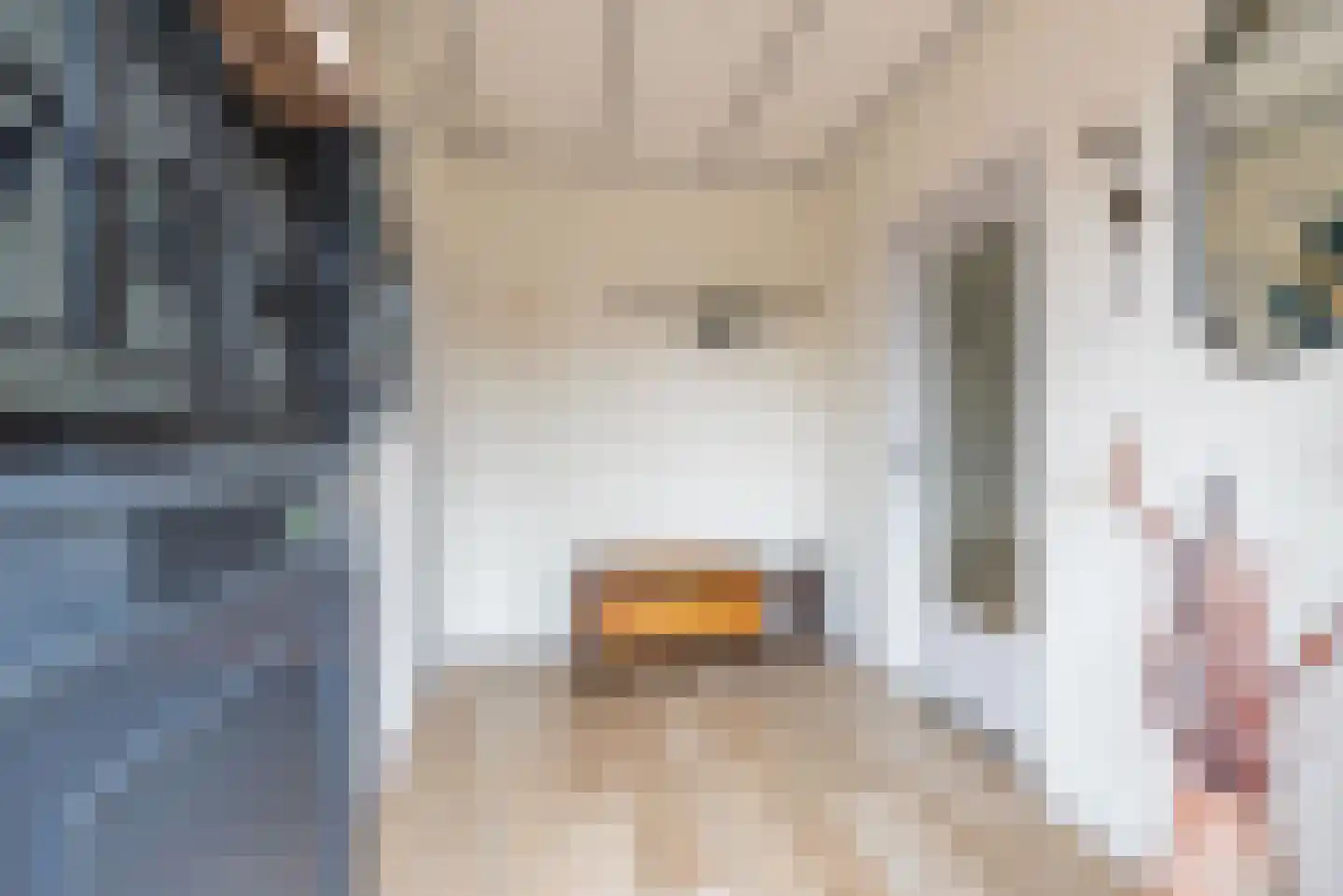 Touwslagersbaan 68 Gendringen thumbnail 7