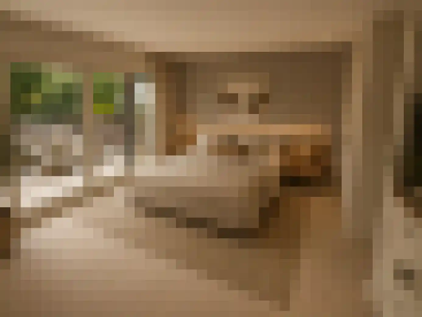 Touwslagersbaan 77 Wijchen thumbnail 17