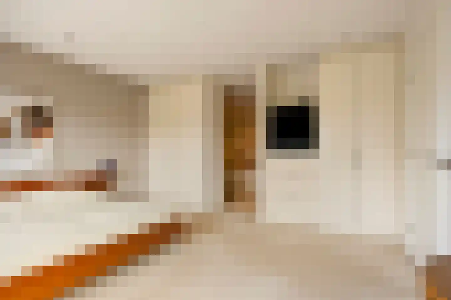 Touwslagersbaan 77 Wijchen thumbnail 19