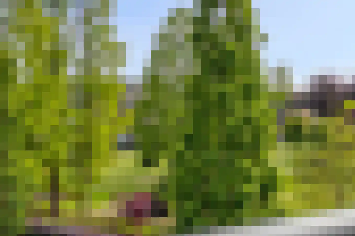 Touwslagersbaan 77 Wijchen thumbnail 29