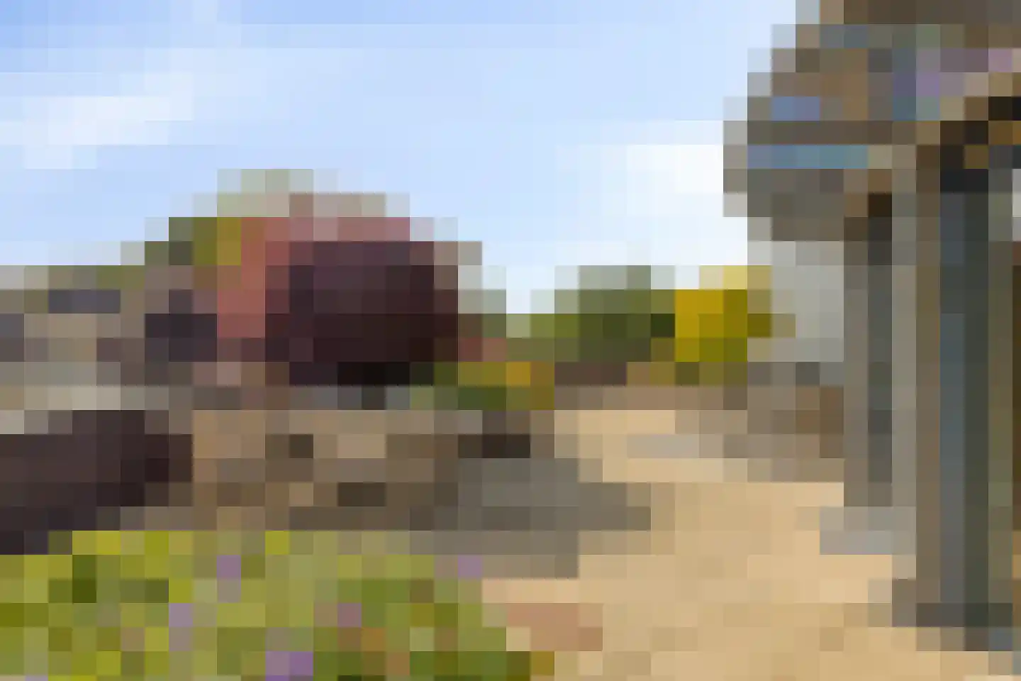 Touwslagersbaan 77 Wijchen thumbnail 31