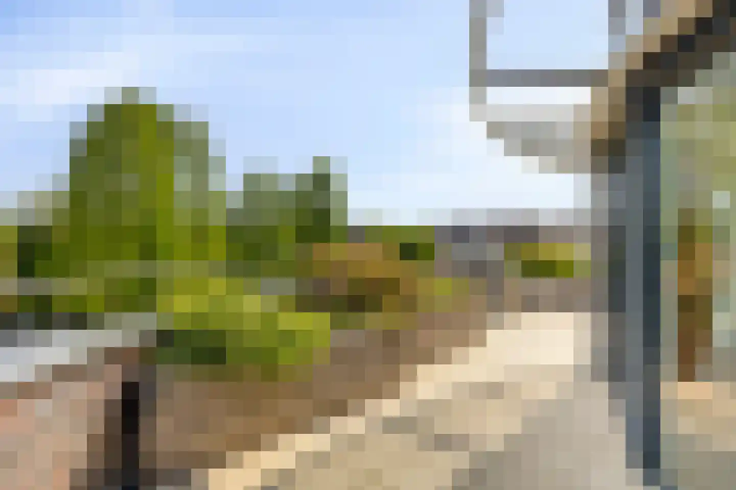 Touwslagersbaan 77 Wijchen thumbnail 50