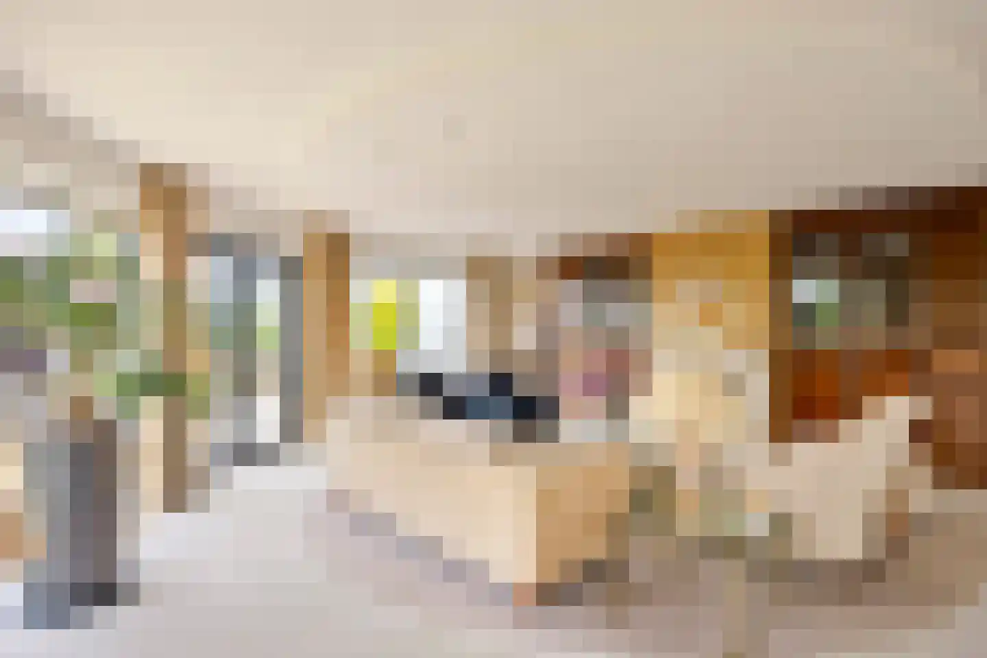 Touwslagersbaan 77 Wijchen thumbnail 6