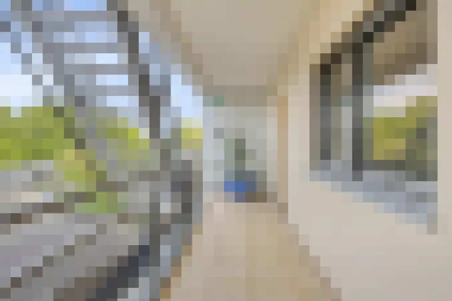 Touwslagersbaan 77 Wijchen thumbnail 61