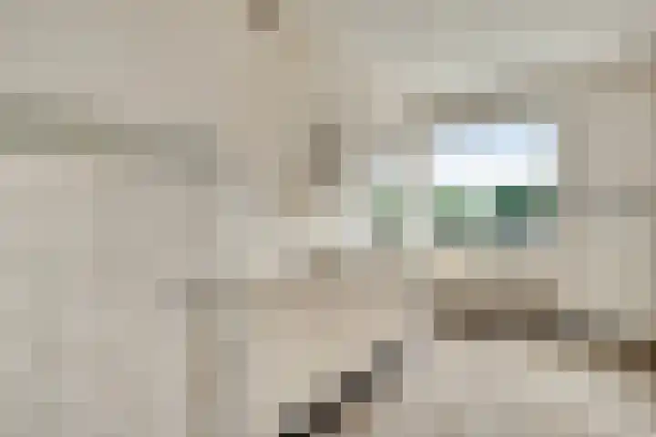 Touwslagersdreef 12 D Maastricht thumbnail 10
