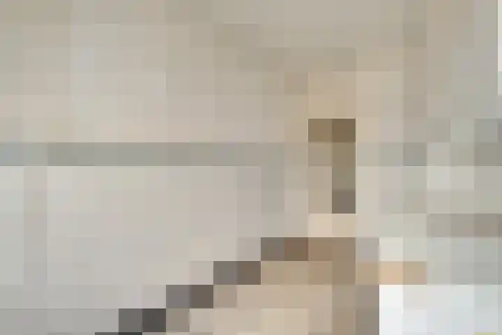 Touwslagersdreef 12 D Maastricht thumbnail 11