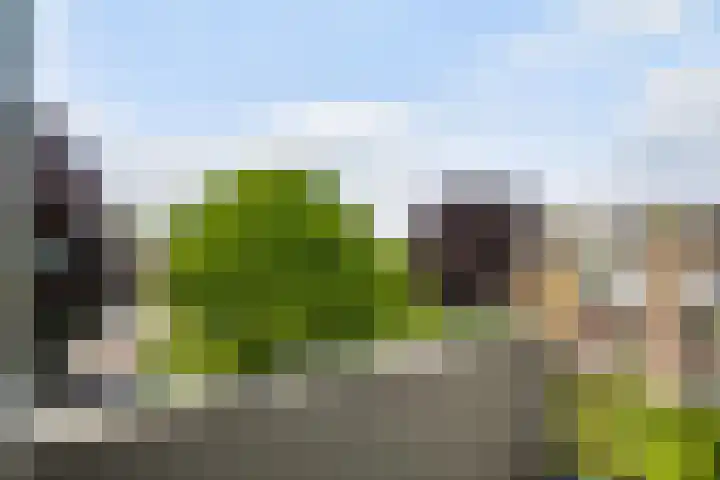 Touwslagersdreef 12 D Maastricht thumbnail 17