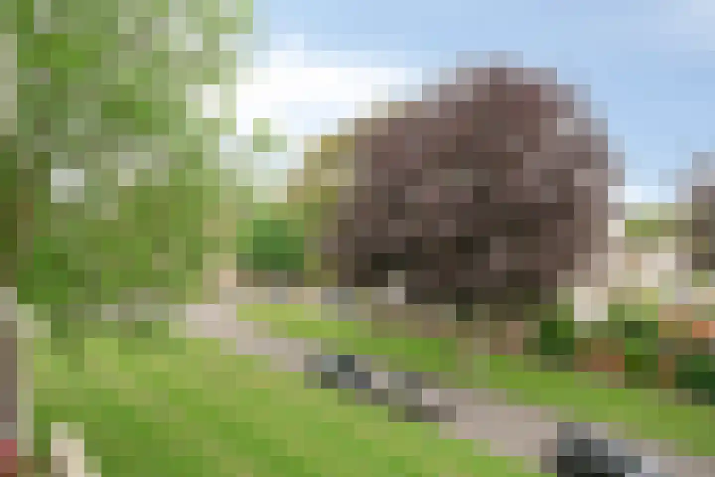 Touwslagersdreef 14 C Maastricht thumbnail 26
