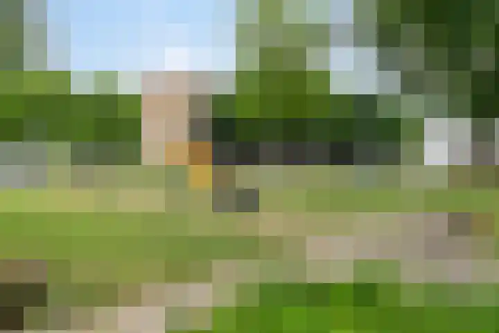 Touwslagersdreef 14 C Maastricht thumbnail 28