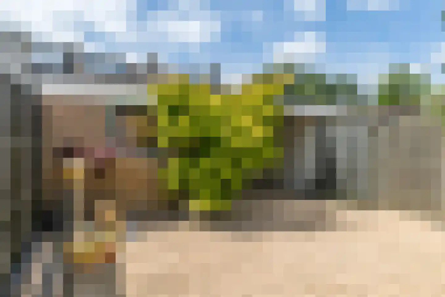 Touwslagersdreef 22 Maastricht thumbnail 24