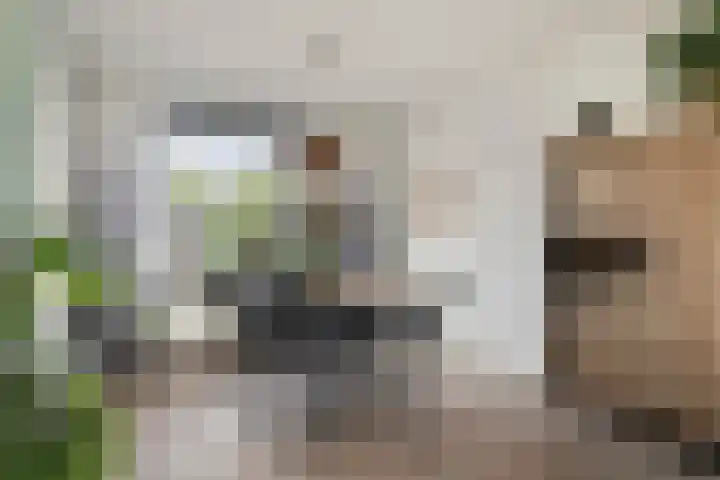 Touwslagersdreef 23 Tholen thumbnail 12