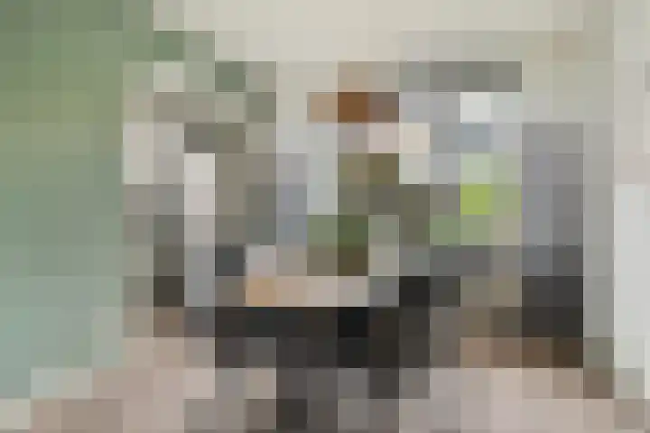Touwslagersdreef 23 Tholen thumbnail 13