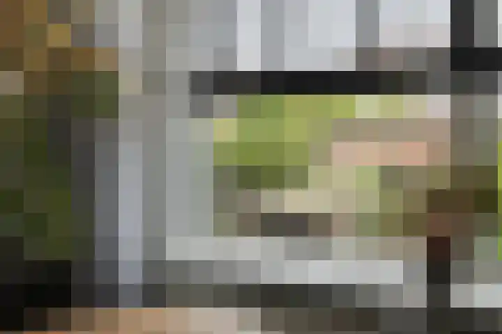 Touwslagersdreef 23 Tholen thumbnail 16